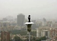 هشدار نارنجی برای گروه‌های حساس / هوای تهران آلوده شد