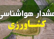 هشدار هواشناسی به کشاورزان و باغداران / سرمای شدید و یخبندان در راه است