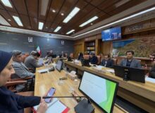 ورمقانی: همه دستگاه‌ها در برابر سالمندان مسئول‌اند