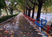 وقوع بارش خفیف در اکثر نقاط استان همدان
