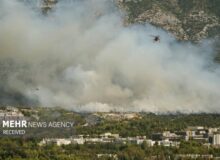 وقوع چند فقره حریق در مازندران؛ علل آتش سوزی انسانی است