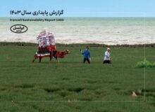 پنجمین‫ گزارش پایداری ایرانسل منتشر شد