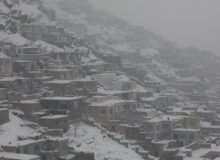 پیش بینی هواشناسی ایران فردا ۲۴ بهمن ۱۴۰۴/ ورود سامانه بارشی گسترده از این تاریخ