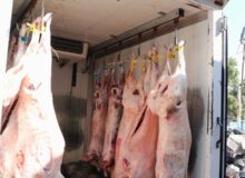 ۸ اکیپ ثابت و سیار دامپزشکی بر بازار دهلران نظارت دارند