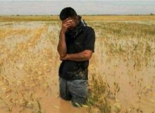 اختصاص 30 همت برای جبران خسارات کشاورزان