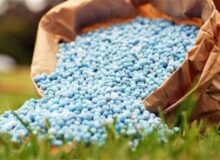 رشد 89 درصدی قیمت اوره / جهان در آستانه تورم مواد غذایی