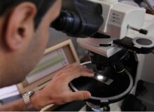 مهلت استفاده از یارانه خدمات آزمایشگاهی زمستان ۱۴۰۴ تمدید شد