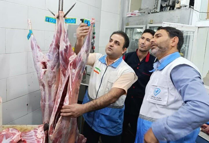 نظارت بهداشتی مستمر بر کشتار طیور در استان بوشهر