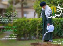 پویش ملی درختکاری «سرو ایران»