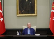 اردوغان استفاده از اسلحه در ترکیه را محدود می‌کند