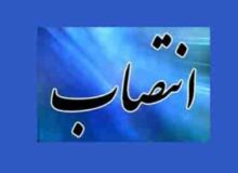 انتصاب رییس جدید مرکز اصناف و بازرگانان وزارت صنعت، معدن و تجارت