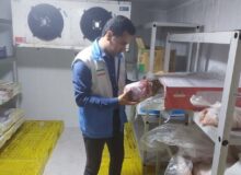 رئیس دامپزشکی دیر: نظارت‌های بهداشتی به صورت مستمر انجام می‌شود