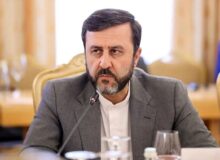 غریب آبادی در دیدار با نماینده صلیب سرخ: نمی‌توان برخی از دولت‌های همسایه را بی‌طرف محسوب کرد