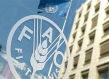 فائو جای سیاست‌بازی نیست