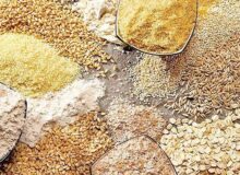 محدودیت واردات از طریق بنادر جنوبی کشور / اولین محموله نهاده دامی نیز از بنادر شمالی وارد کشور شده است