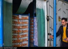موجودی کالاهای اساسی کشور از زمان صلح هم بیشتر است