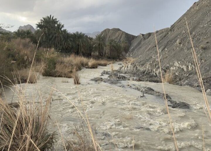 هشدار سازمان هواشناسی نسبت به بارش باران و وزش باد شدید در غالب نقاط کشور تا چهارشنبه آتی
