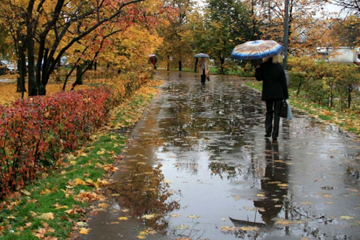 پیش بینی هوای تهران تا دو روز آینده/ وزش باد شدید و افزایش دما