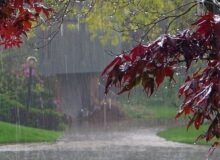 پیش‌بینی بارش باران و کاهش دما در تهران از فردا