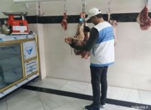 ۱۰.۵ تن فرآورده دامی غیربهداشتی در مازندران معدوم شد