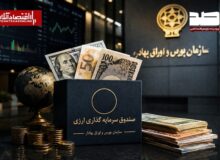 آغاز فعالیت صندوقهای سرمایهگذاری درآمد ثابت ارزی با اعطای موافقت اصولی