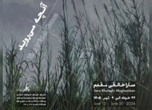 «آنچه میروید» به باگالری رسید؛ وفادار به بینظمی جهان