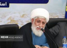 ابراهیمی: نوحهخوانی نوجوانان، تداوم صدای عاشورا در نسل آینده است