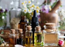 ارتقای دانش تجاری‌سازی و استانداردهای تولید در حوزه گیاهان دارویی