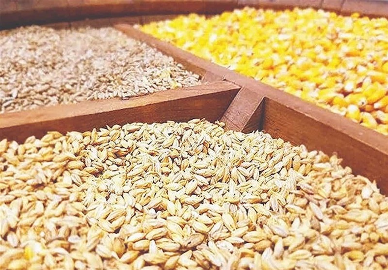 ببینید|واردات نهاده از آمریکا امنیت غذایی را تهدید می‌کند