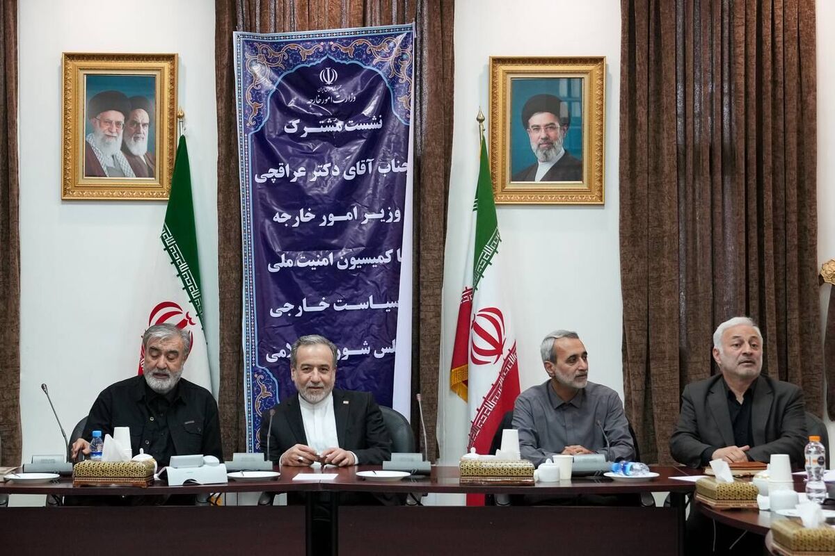 جزئیات دیدار اعضای کمیسیون امنیت ملی مجلس با عراقچی