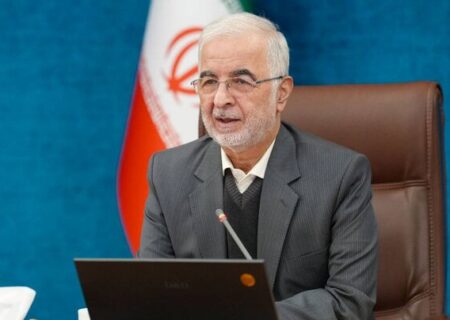 مومنی: رهبری داهیانه و حضور مردم از عوامل پیروزی بودند