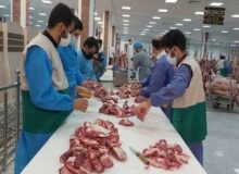 نظارت دامپزشکی بر ۲ هزار رأس دام قربانی در آذربایجان‌شرقی