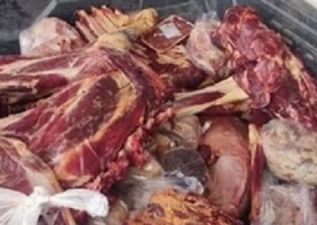 کشف سردخانه غیرمجاز نگهداری ۵ تن فرآورده خام دامی در یک منزل مسکونی