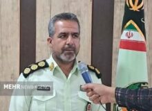 کشف ۲۵ راس احشام فاقد مجوز در میامی؛ ۲ خودروی متخلف توقیف شدند