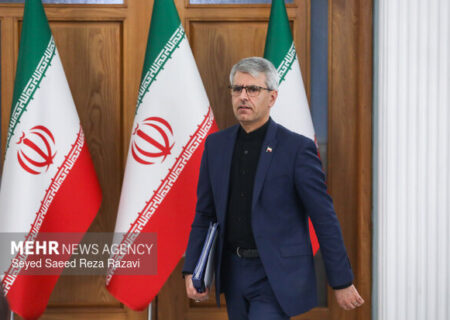 بقائی: ملت ایران بیش از هر زمانی متحد و مصمم است