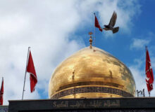 جهاد حضرت زینب(س)،تجسم پیروزی نرمافزار فکری بر سختافزار نظامی بود