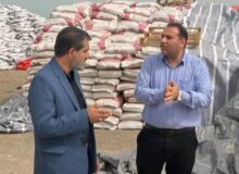دادستان جاسک دستور ترخیص فوری ۸۰۰ تن برنج وارداتی را صادر کرد