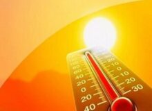 رونمایی از یخچال خیابانی برای مقابله با گرمازدگی / عکس