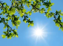 هشدار هواشناسی به ساکنان این استان‌ٰها/ گرمای بی‌سابقه در راه است