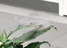 پهپادی عجیب که هنگام پرواز نامرئی میشود / فریب چشم انسان