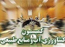 پیگیری سازوکار پرداخت مطالبات گندم‌کاران در کمیسیون کشاورزی مجلس