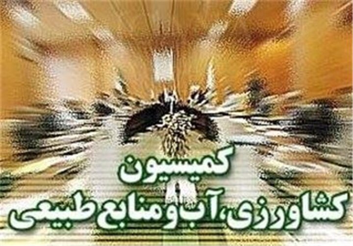 پیگیری سازوکار پرداخت مطالبات گندمکاران در کمیسیون کشاورزی مجلس