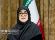 بازدید سخنگوی دولت از مرز مهران