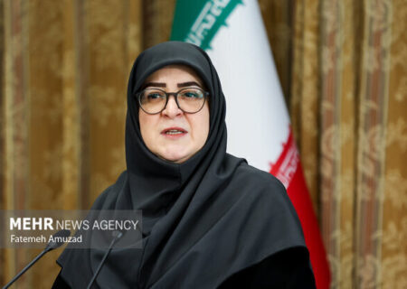 بازدید سخنگوی دولت از مرز مهران