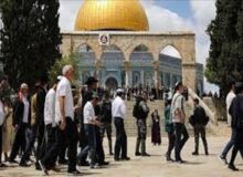 تعرض گسترده شهرک‌نشینان صهیونیست به مسجد الاقصی 