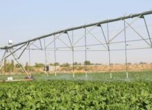 توسعه سامانه‌های نوین آبیاری در اولویت جهاد کشاورزی است