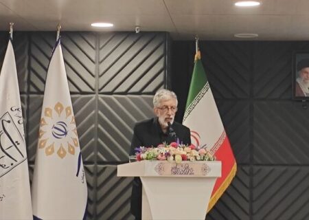 حداد عادل: مجلس عامل مهمی در حفظ وحدت و انسجام ملی است