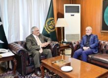 رایزنی وزیرخارجه پاکستان و سفیر ایران؛ تأکید بردیپلماسی جهت ثبات منطقه