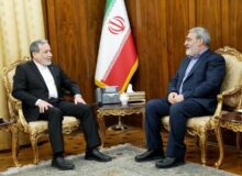 رحمانی فضلی با عراقچی دیدار کرد
