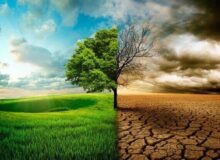 زنگ خطر ال‌نینو برای اقتصاد جهان؛ شرکت‌های بزرگ در آماده‌باش